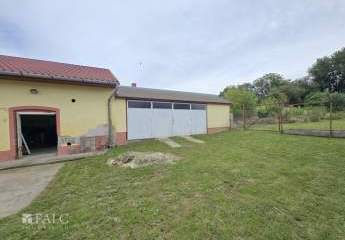 483364-Vorschaubild3