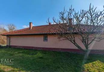 483371-Vorschaubild4