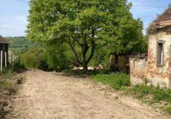 483372-Vorschaubild3