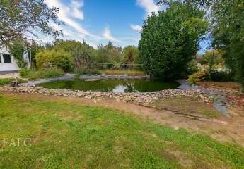 482877-Vorschaubild4