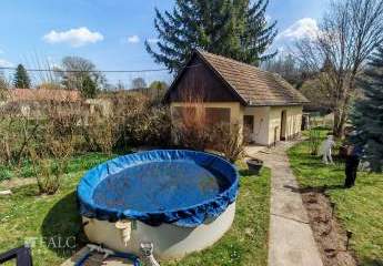 482301-Vorschaubild4