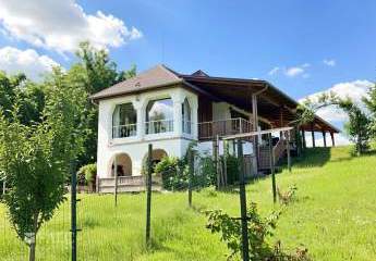 478943-Vorschaubild3