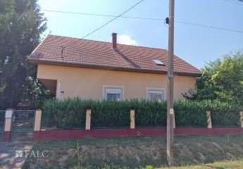 478817-Vorschaubild3