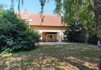 478817-Vorschaubild4