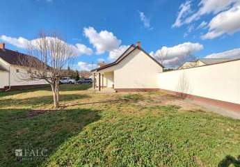 478562-Vorschaubild3