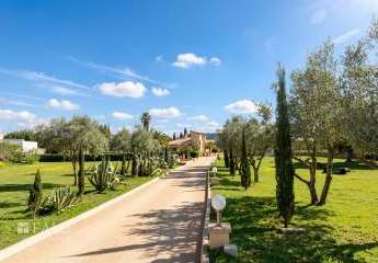 483426-Vorschaubild2