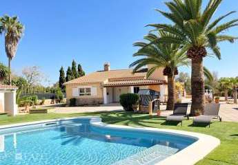 483426-Vorschaubild3