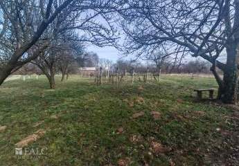 475210-Vorschaubild4