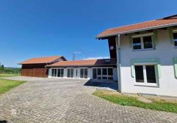 475469-Vorschaubild3