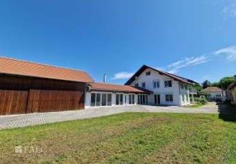 475469-Vorschaubild4