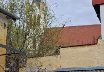 479261-Vorschaubild3