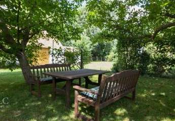 483619-Vorschaubild3