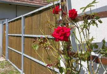 483619-Vorschaubild4