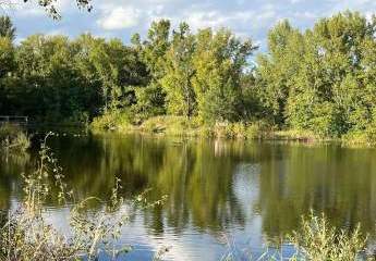 483620-Vorschaubild3