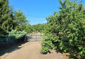 483624-Vorschaubild3