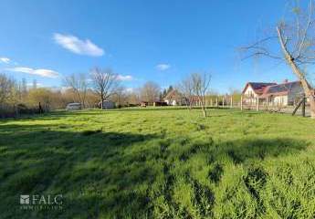 483733-Vorschaubild3