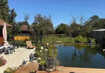 483735-Vorschaubild4