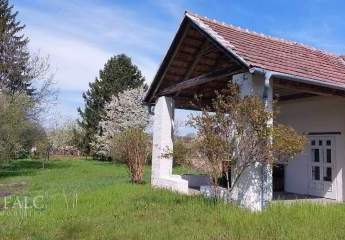 483738-Vorschaubild2