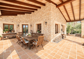 481569-Vorschaubild3