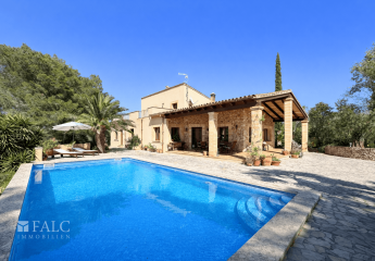 481569-Vorschaubild2