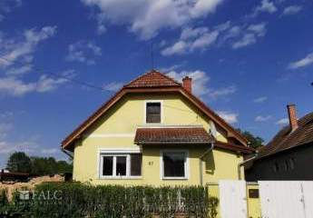 483884-Vorschaubild4