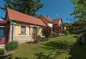 484210-Vorschaubild2