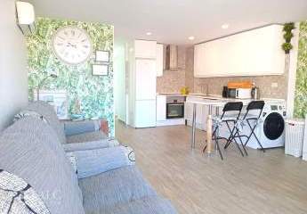 484221-Vorschaubild2