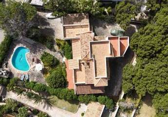 484306-Vorschaubild2