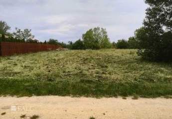 484376-Vorschaubild2