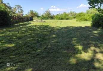 484376-Vorschaubild4