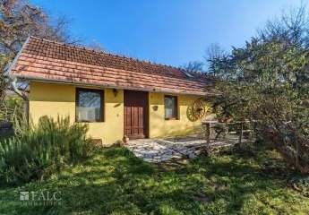 484919-Vorschaubild2