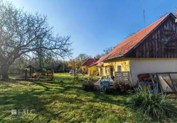 484919-Vorschaubild3