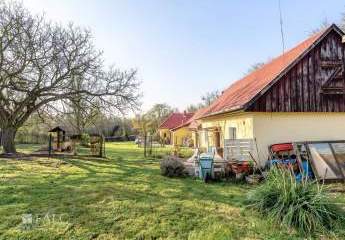 484919-Vorschaubild4