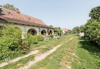 484921-Vorschaubild2