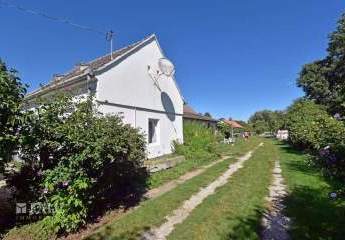 484921-Vorschaubild3