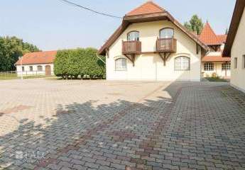 484923-Vorschaubild4