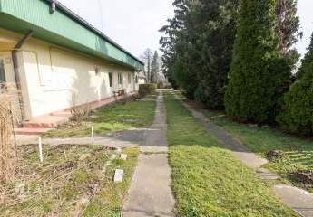 484924-Vorschaubild2