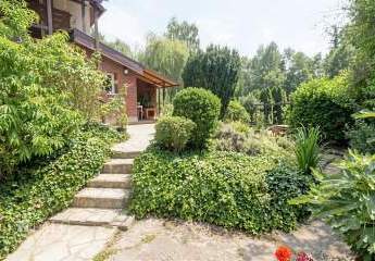 484929-Vorschaubild2