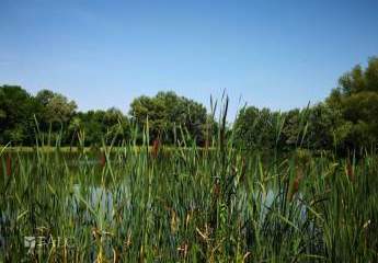 484945-Vorschaubild2