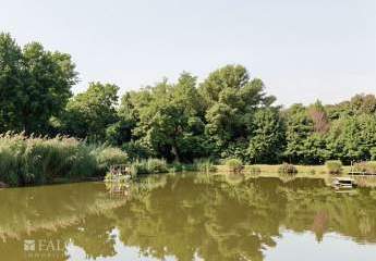 484945-Vorschaubild3