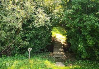 484945-Vorschaubild4