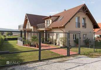 484946-Vorschaubild2