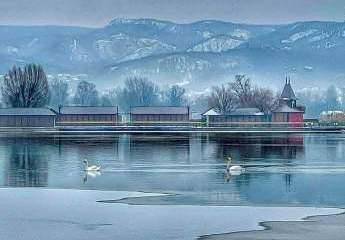 485105-Vorschaubild4