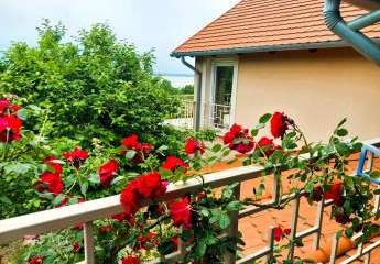 485136-Vorschaubild2