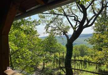 485157-Vorschaubild3