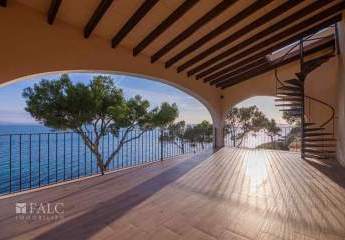 485259-Vorschaubild2