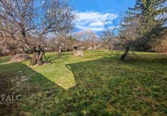 485564-Vorschaubild2