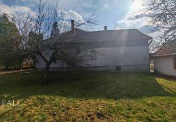 485564-Vorschaubild3