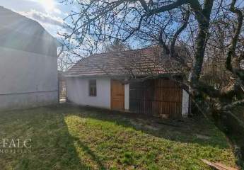 485564-Vorschaubild4