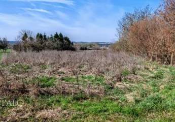 485565-Vorschaubild3